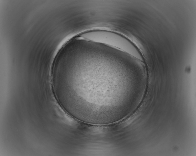 X0000090631240200707311258