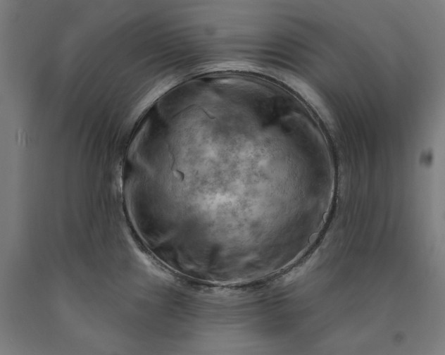 X0000090631241200707311258