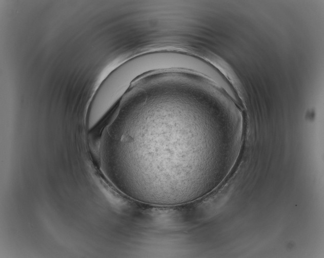 X0000090631242200707311258