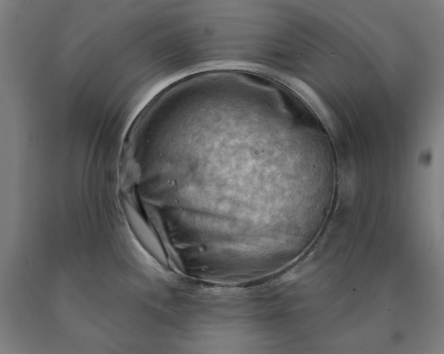 X0000090631244200707311258