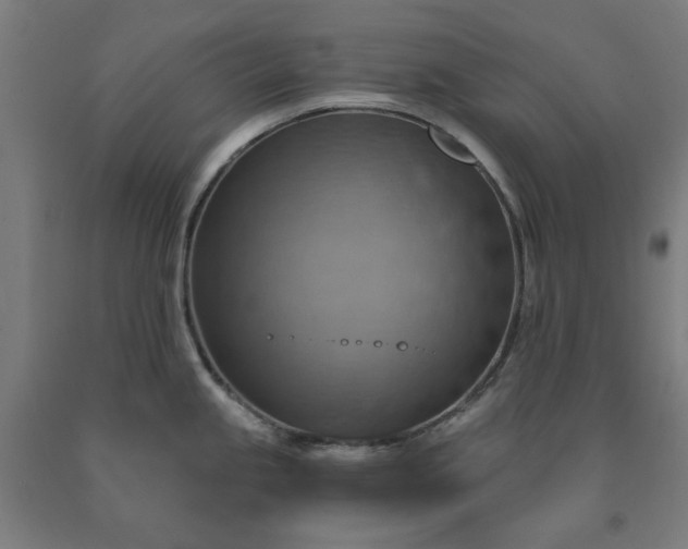 X0000090631245200707311258