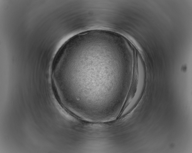 X0000090631246200707311258