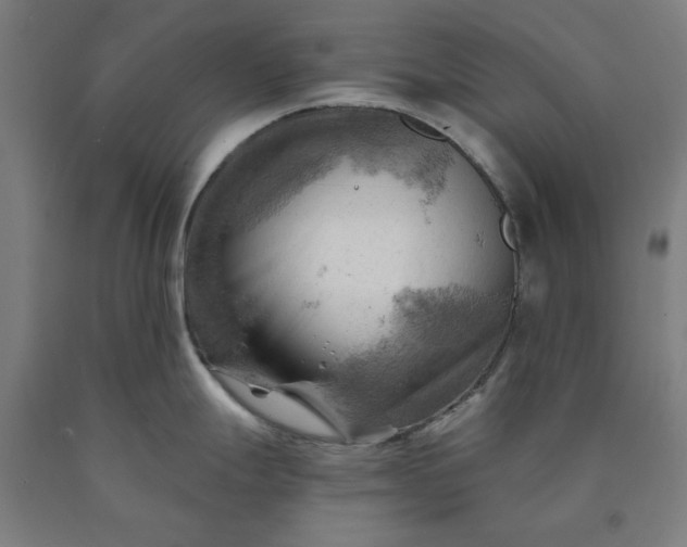 X0000090631247200707311258