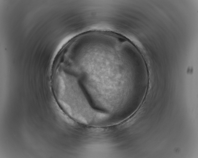 X0000090631248200707311258