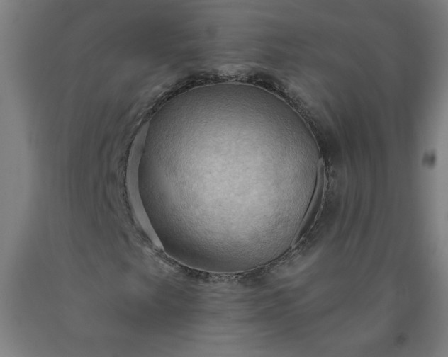 X0000090631249200707311258