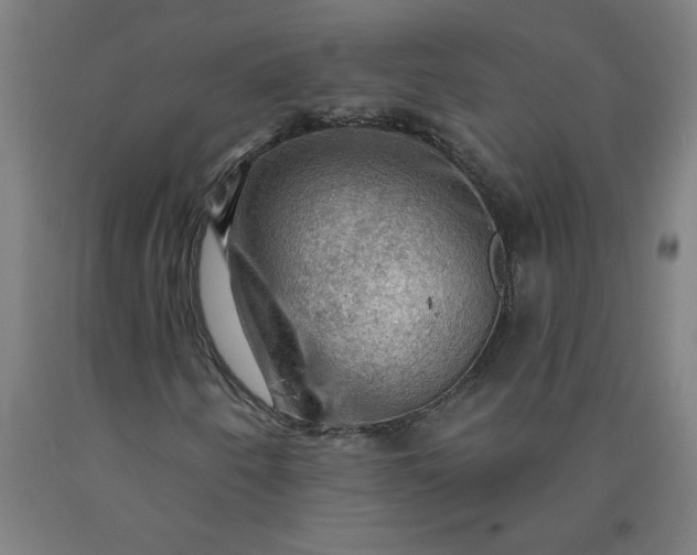 X0000090631250200707311258