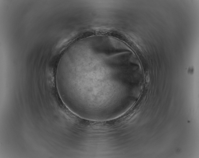 X0000090631252200707311258