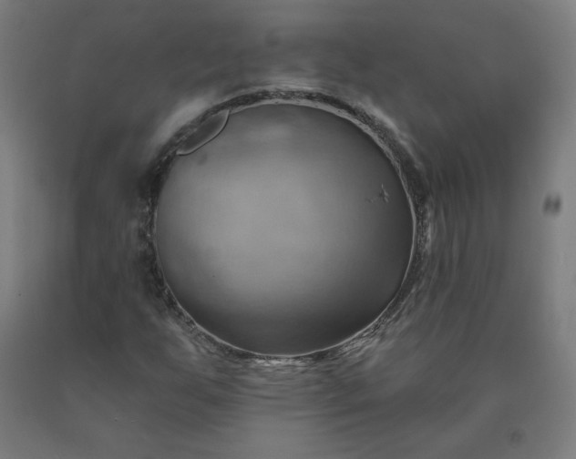X0000090631255200707311258