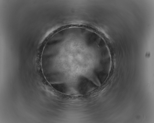 X0000090631256200707311258