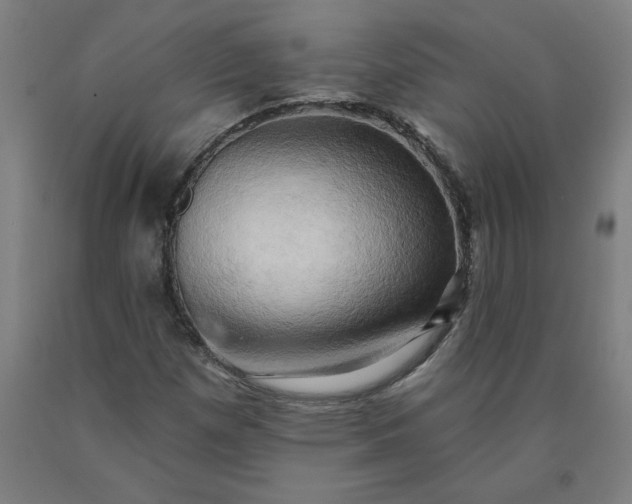 X0000090631257200707311258