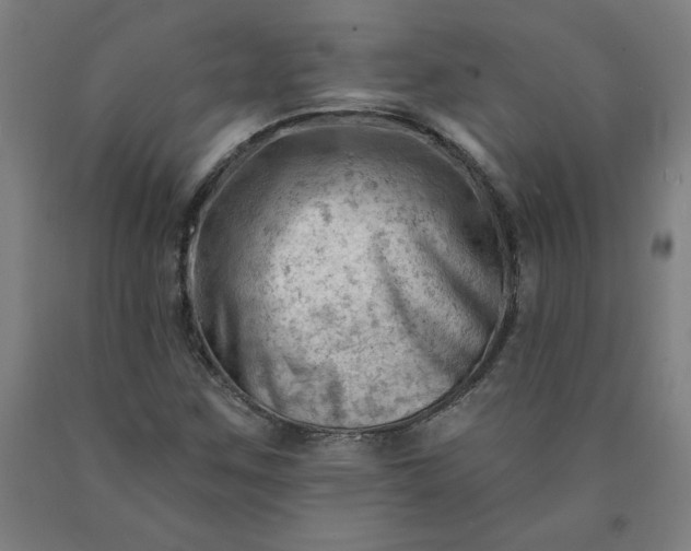 X0000090631259200707311258