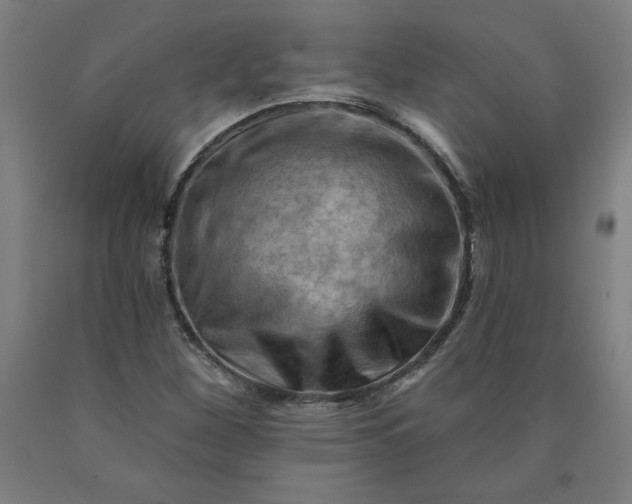X0000090631260200707311258