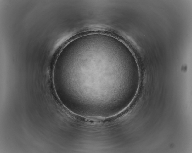 X0000090631261200707311258