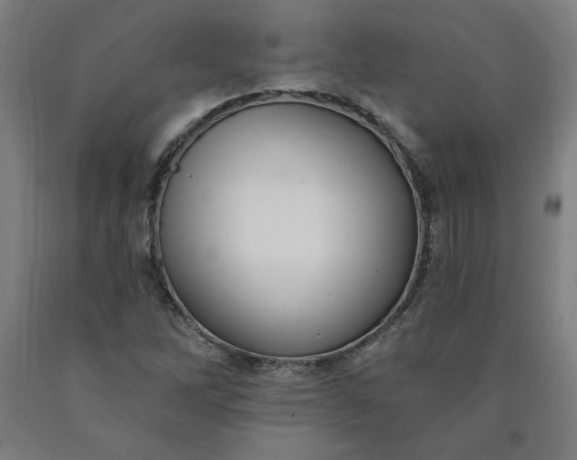 X0000090631262200707311258