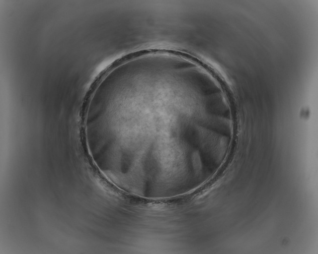 X0000090631264200707311258