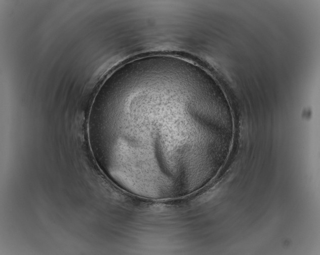 X0000090631265200707311257