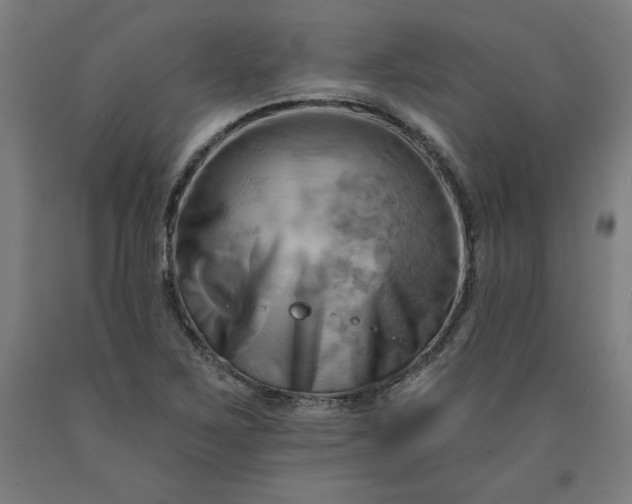 X0000090631267200707311257