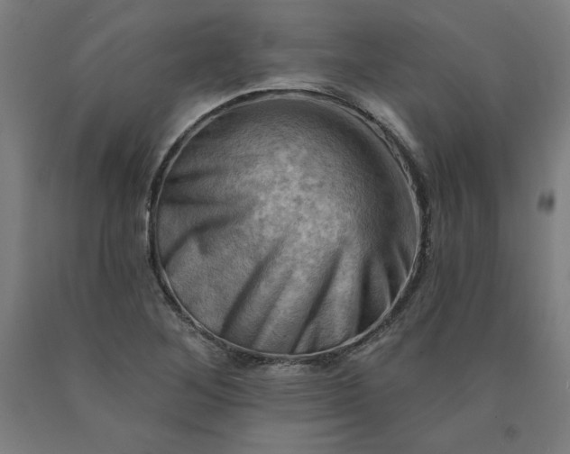 X0000090631268200707311257