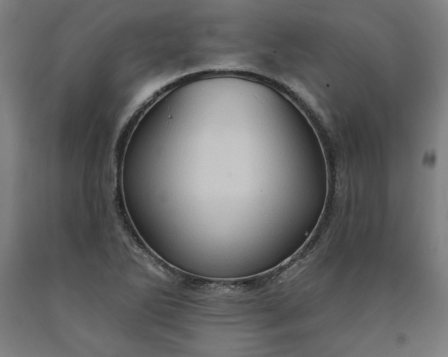 X0000090631270200707311257