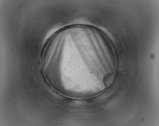 X0000090631271200707311257