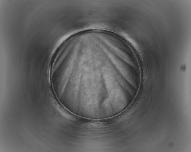 X0000090631272200707311257