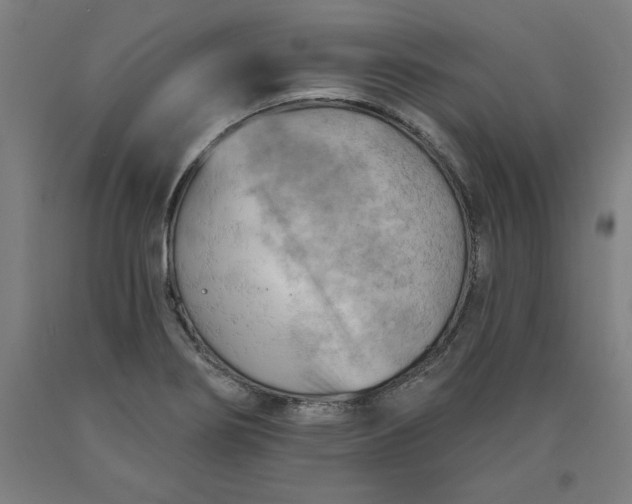 X0000090631274200707311257