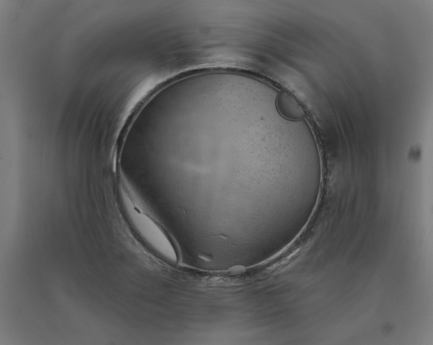 X0000090631275200707311257