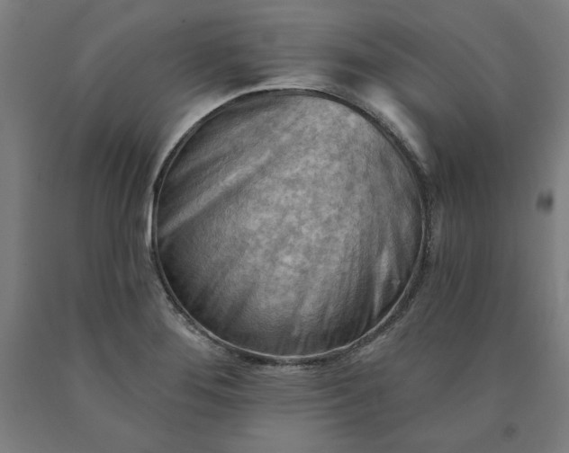 X0000090631276200707311257