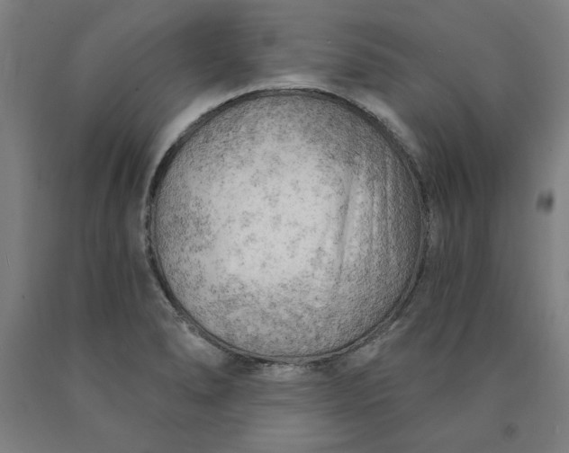 X0000090631278200707311257