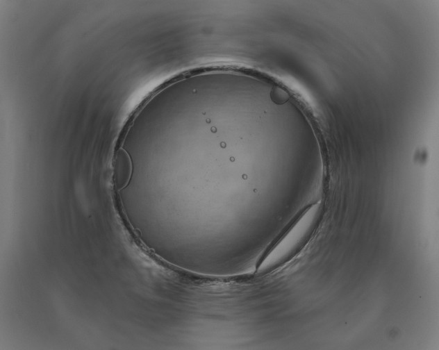 X0000090631279200707311257