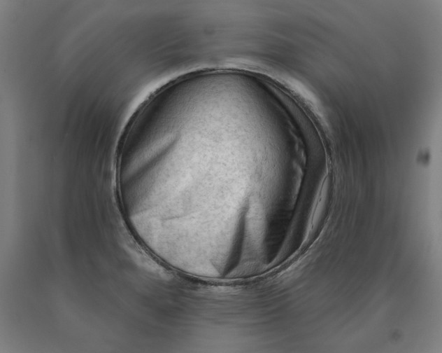 X0000090631280200707311257