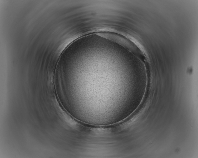 X0000090631281200707311257
