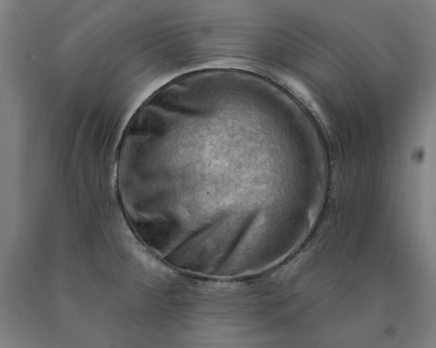 X0000090631284200707311257