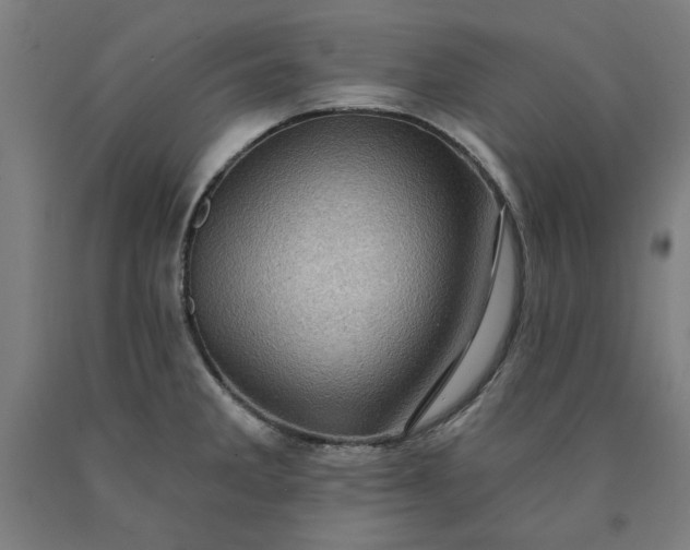 X0000090631285200707311257