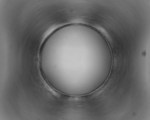 X0000090631286200707311257