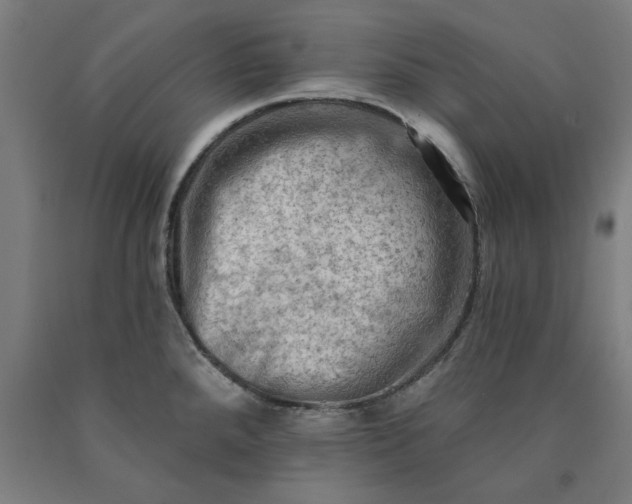 X0000090631288200707311257