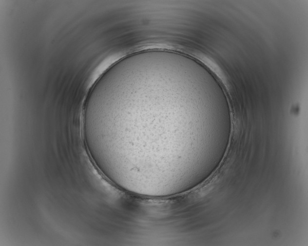 X0000090631290200707311257