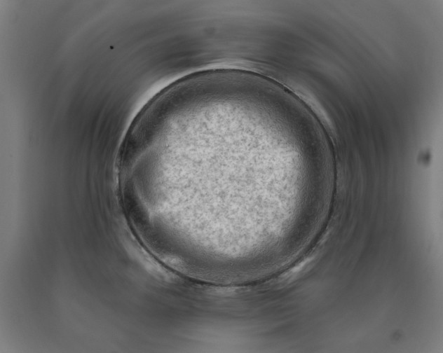 X0000090631292200707311257