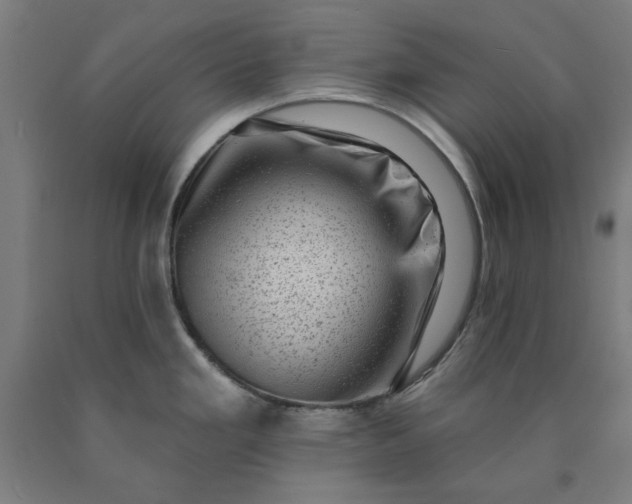 X0000090631293200707311257