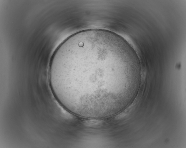 X0000090631294200707311257