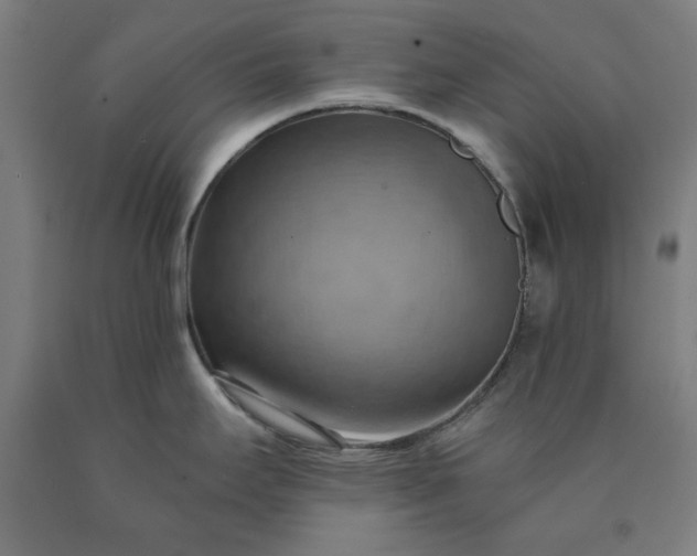 X0000090631295200707311257