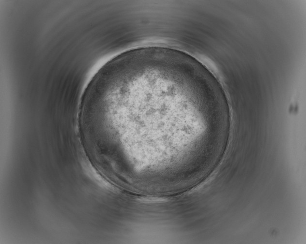 X0000090631296200707311257