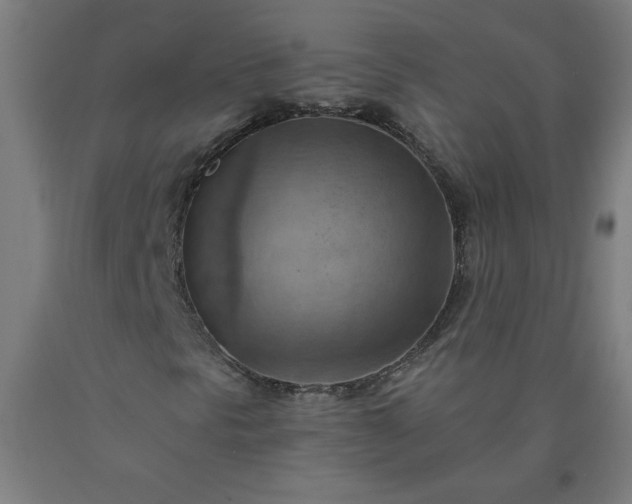 X0000090631297200707311257
