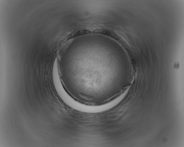 X0000090631298200707311257