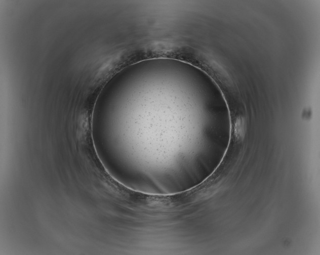 X0000090631299200707311257