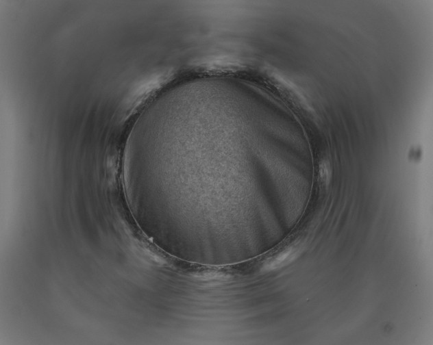 X0000090631300200707311257