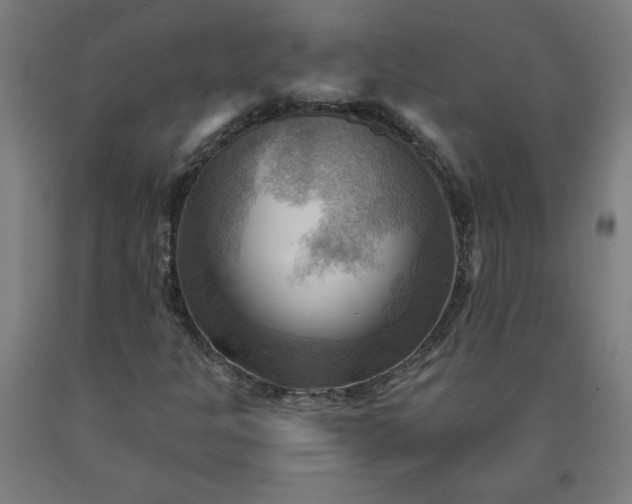 X0000090631301200707311257