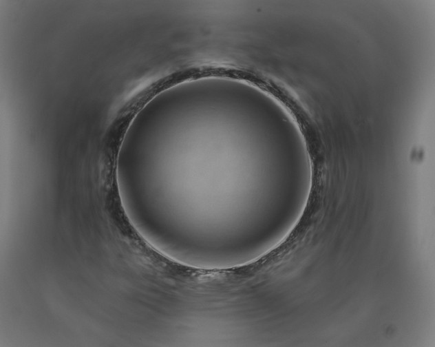 X0000090631303200707311257