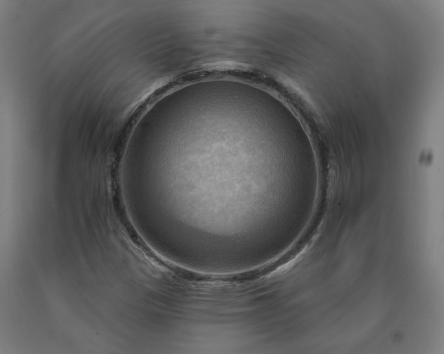 X0000090631305200707311257