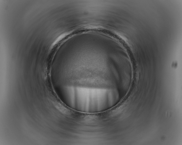 X0000090631306200707311257